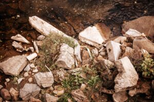 Σπαζοκεφαλιά: Βρες την αράχνη στην εικόνα σε 7 δευτερόλεπτα