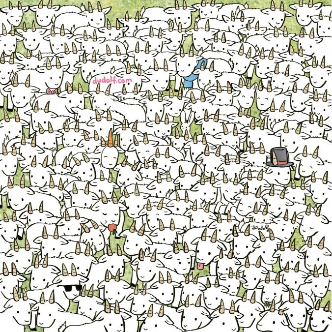 Σπαζοκεφαλιά, πρόβατο