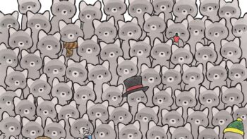 Σπαζοκεφαλιά: Βρες την γάτα στην εικόνα σε 4 δευτερόλεπτα