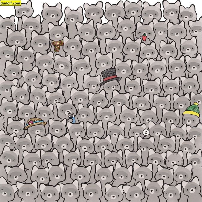 Σπαζοκεφαλιά, Γάτα