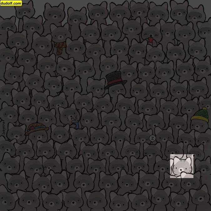 Σπαζοκεφαλιά, Γάτα