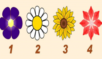 Τεστ προσωπικότητας: Το λουλούδι που θα επιλέξετε αποκαλύπτει το μήνυμα που προσπαθεί να σου στείλει ο φύλακας άγγελός σου