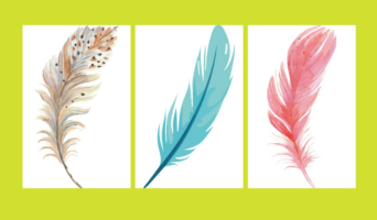 Τεστ προσωπικότητας: Το φτερό που θα επιλέξετε αποκαλύπτει αν είστε ονειροπόλος