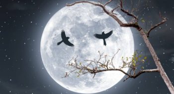 Τεστ προσωπικότητας: Αυτό που βλέπετε πρώτα στην εικόνα αποκαλύπτει αν είστε ένα ανοιχτό βιβλίο ή ένα μυστήριο