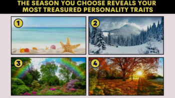 Τεστ προσωπικότητας: Η αγαπημένη σας εποχή αποκαλύπτει τα πιο πολύτιμα χαρακτηριστικά σας
