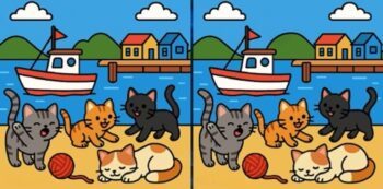 Τεστ παρατηρητικότητας: Μπορείτε να βρείτε τις 3 διαφορές στις εικόνες με γάτες που παίζουν σε 16 δευτερόλεπτα