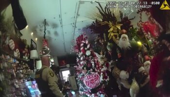 Ελάφι «εισέβαλε» σε χριστουγεννιάτικο κατάστημα και κόλλησε σε καρέκλα – ΒΙΝΤΕΟ