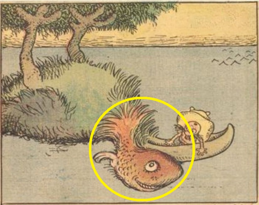 Σπαζοκεφαλιά, ψάρι