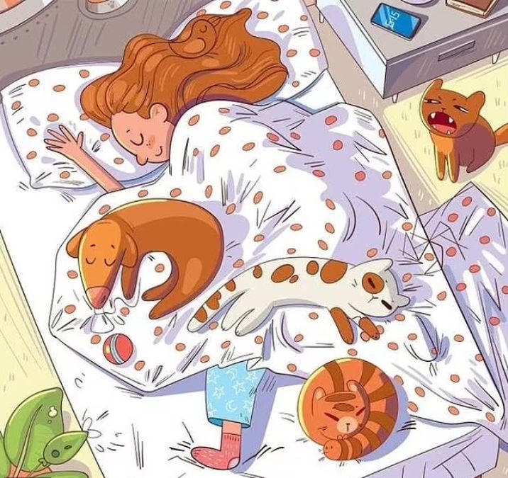 σπαζοκεφαλιά, μέλισσα