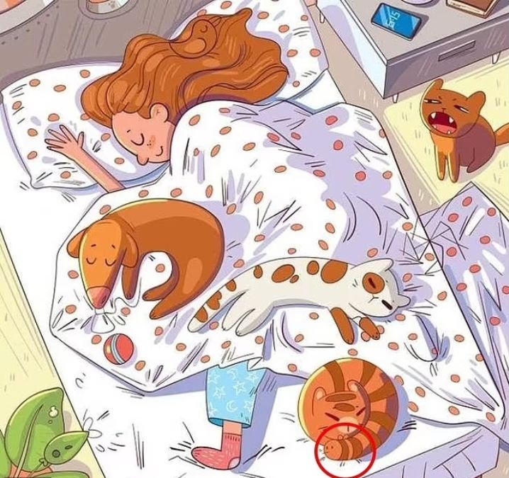 σπαζοκεφαλιά, μέλισσα