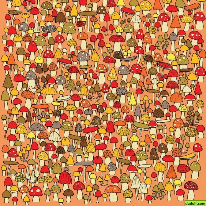 Σπαζοκεφαλιά, ποντίκι