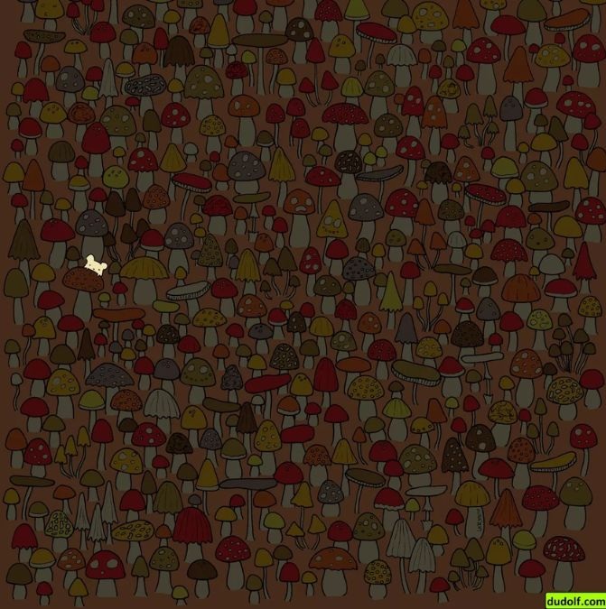 Σπαζοκεφαλιά, ποντίκι