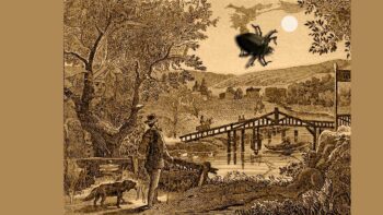 Σπαζοκεφαλιά: Βρες το ψάρι στην εικόνα σε 4 δευτερόλεπτα