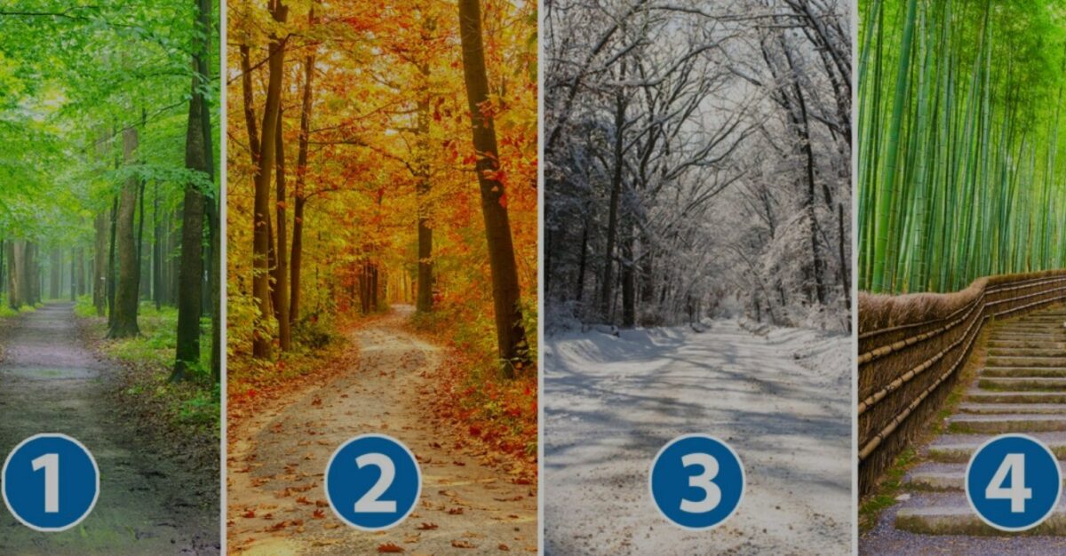 τεστ, εικόνα