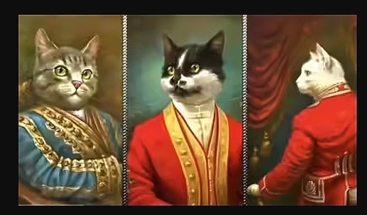 τεστ, εικόνα