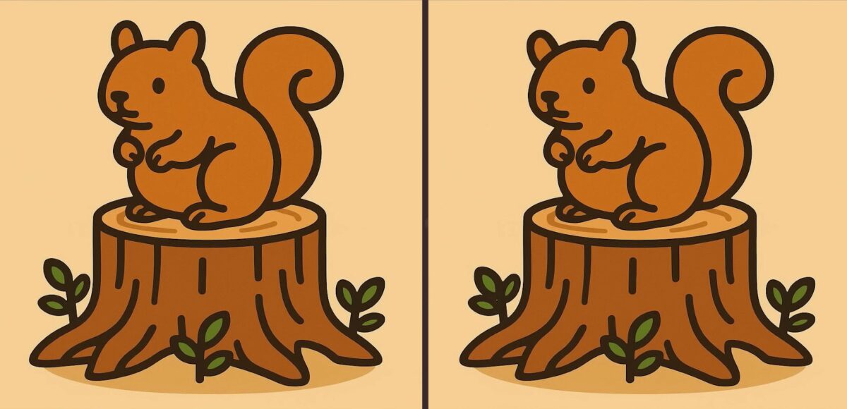 Τεστ παρατηρητικότητας, διαφορές, σκιουράκι