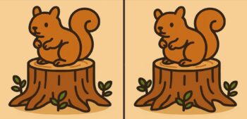 Τεστ παρατηρητικότητας: Μπορείτε να βρείτε τις 3 διαφορές στις εικόνες με ένα σκιουράκι σε 12 δευτερόλεπτα