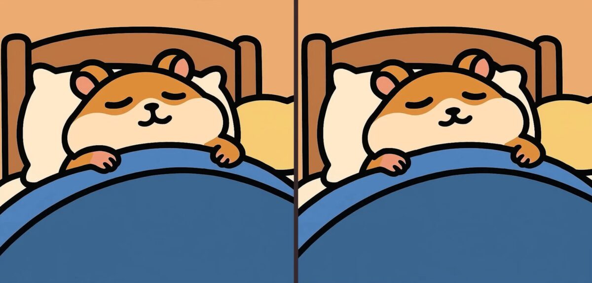 Τεστ παρατηρητικότητας, διαφορές, Χάμστερ