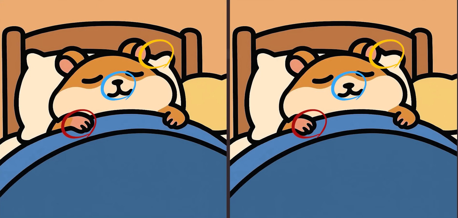 Τεστ παρατηρητικότητας, διαφορές, Χάμστερ