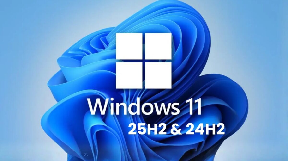Windows 11
