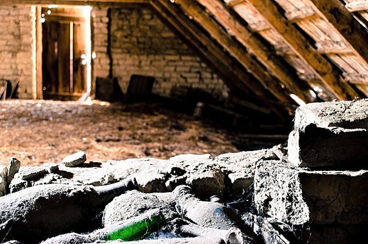 Τρόμος στη σοφίτα – «Περίεργο» εύρημα γίνεται viral στο διαδίκτυο – «Δεν ξέρω τι είναι»