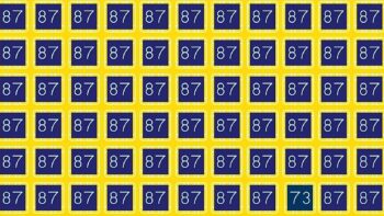 Τεστ IQ: Εντοπίστε τον αριθμό 73 που κρύβεται ανάμεσα στον 87 σε 8 δευτερόλεπτα