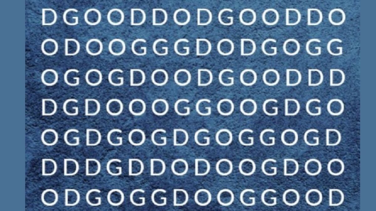 Σπαζοκεφαλιά, DOG