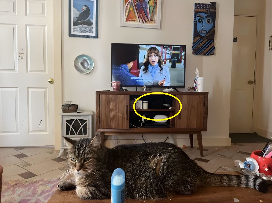 Σπαζοκεφαλιά, γάτα 