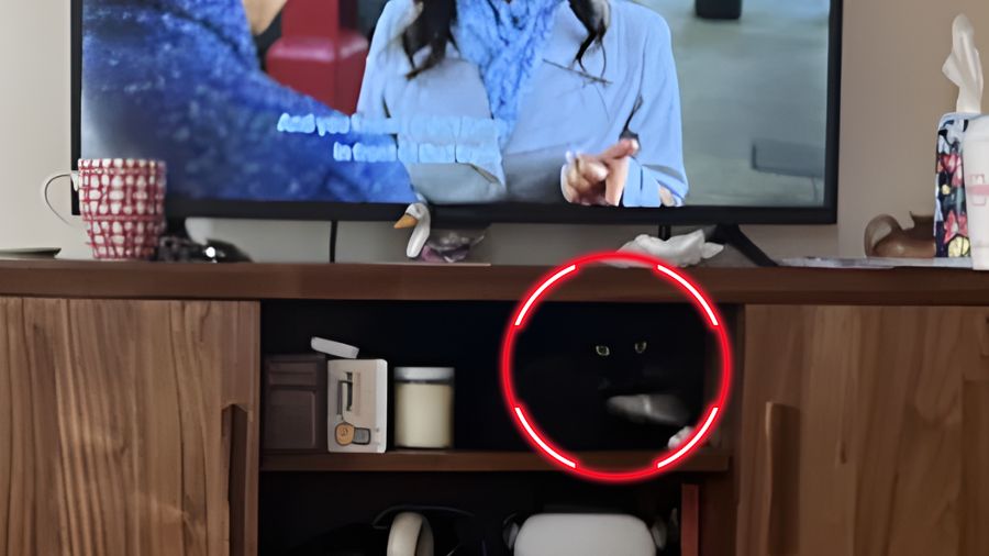 Σπαζοκεφαλιά, γάτα 