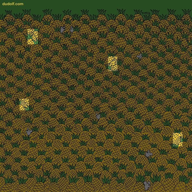 Σπαζοκεφαλιά, καλαμπόκι