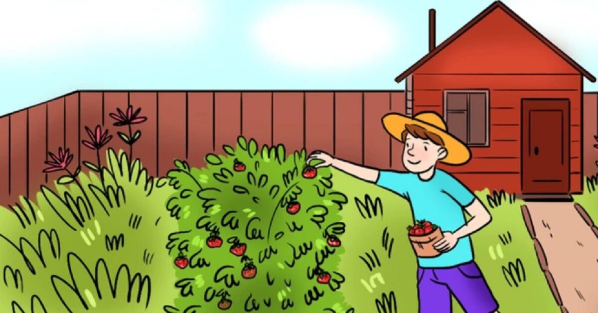 Σπαζοκεφαλιά: Βρες το λάθος στην εικόνα σε 7 δευτερόλεπτα