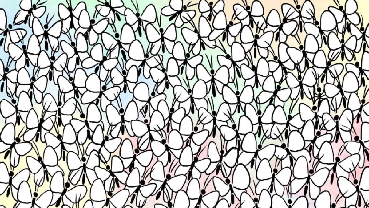 Σπαζοκεφαλιά: Βρες το μυρμήγκι στην εικόνα σε 6 δευτερόλεπτα