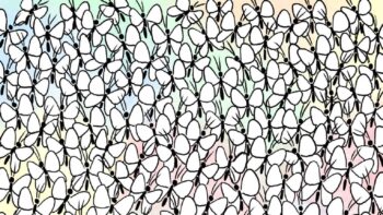 Σπαζοκεφαλιά: Βρες το μυρμήγκι στην εικόνα σε 6 δευτερόλεπτα