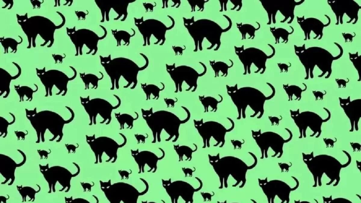 Σπαζοκεφαλιά, ποντίκι