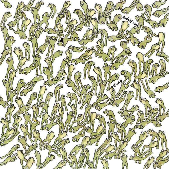 Σπαζοκεφαλιά, βάτραχος