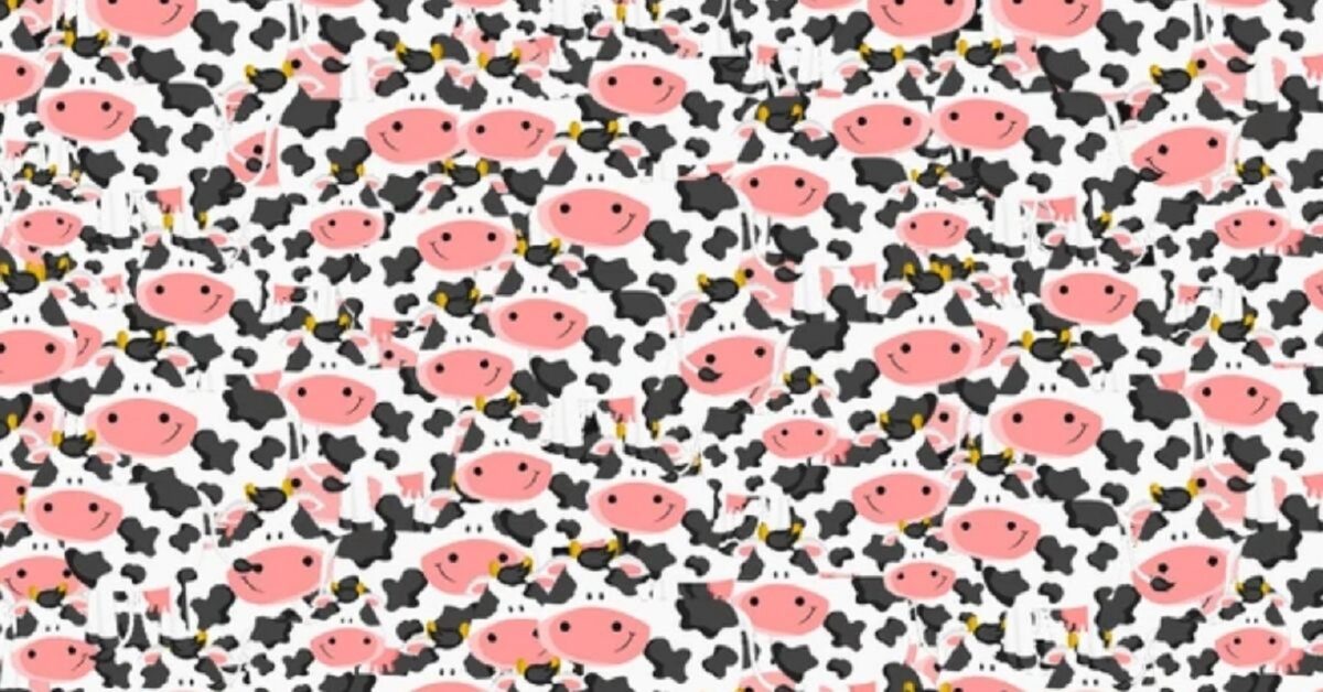 Σπαζοκεφαλιά, Ζέβρα