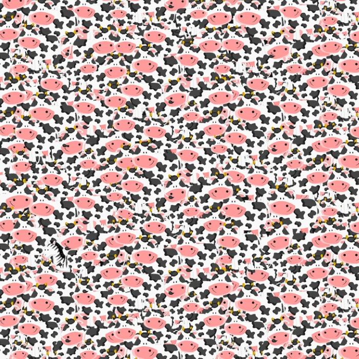 Σπαζοκεφαλιά, Ζέβρα