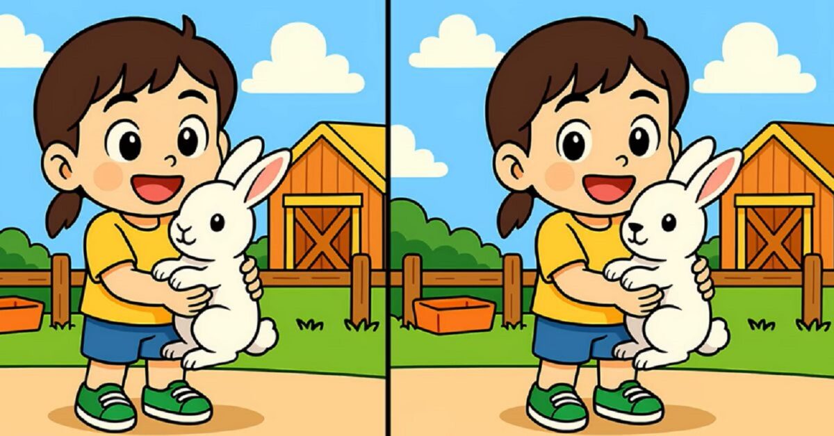 Τεστ παρατηρητικότητας, διαφορές, κορίτσι, λαγουδάκι