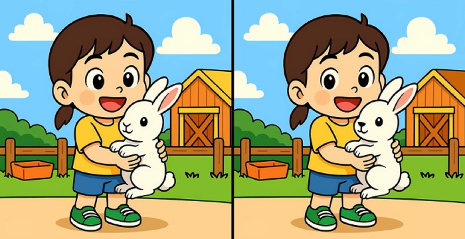 Τεστ παρατηρητικότητας, διαφορές, κορίτσι, λαγουδάκι