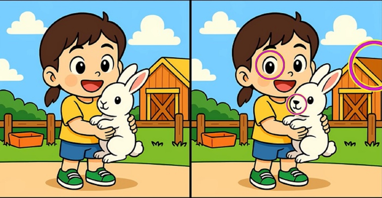 Τεστ παρατηρητικότητας, διαφορές, κορίτσι, λαγουδάκι