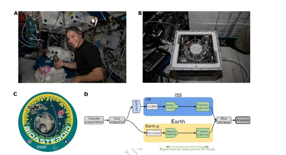 αστροναύτες,