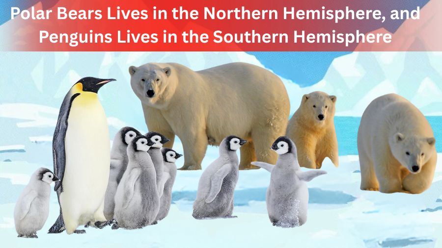 Σπαζοκεφαλιά