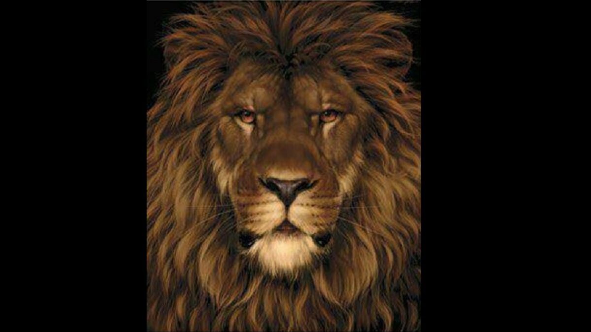 Σπαζοκεφαλιά, ποντίκι