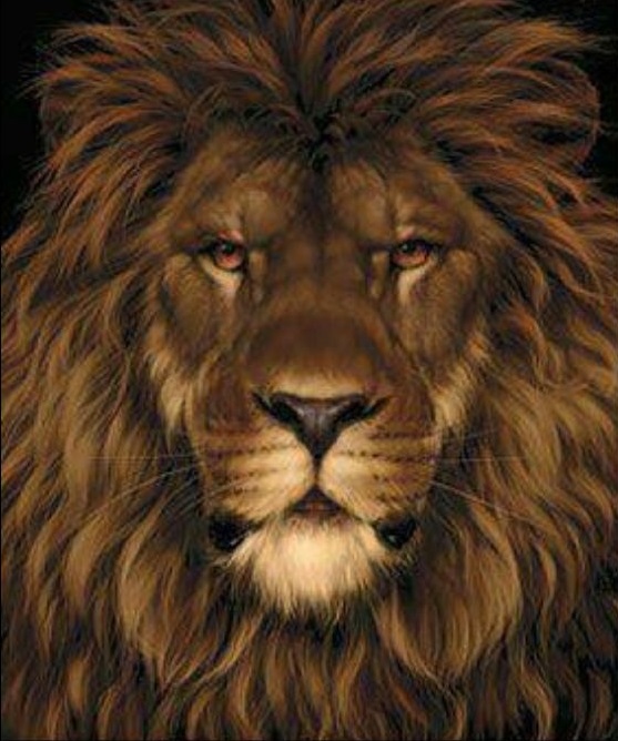 Σπαζοκεφαλιά, ποντίκι