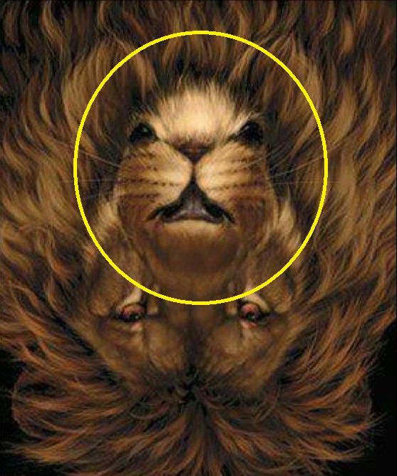 Σπαζοκεφαλιά, ποντίκι