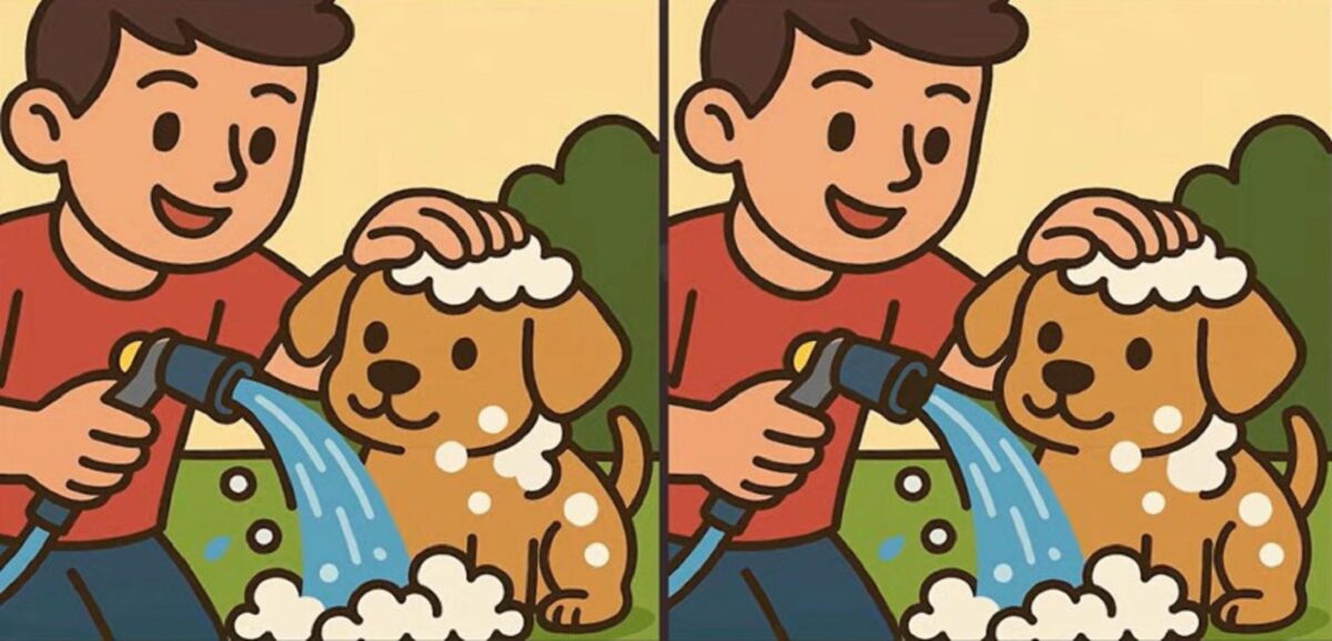 Τεστ παρατηρητικότητας, διαφορές, παιδί, σκύλος