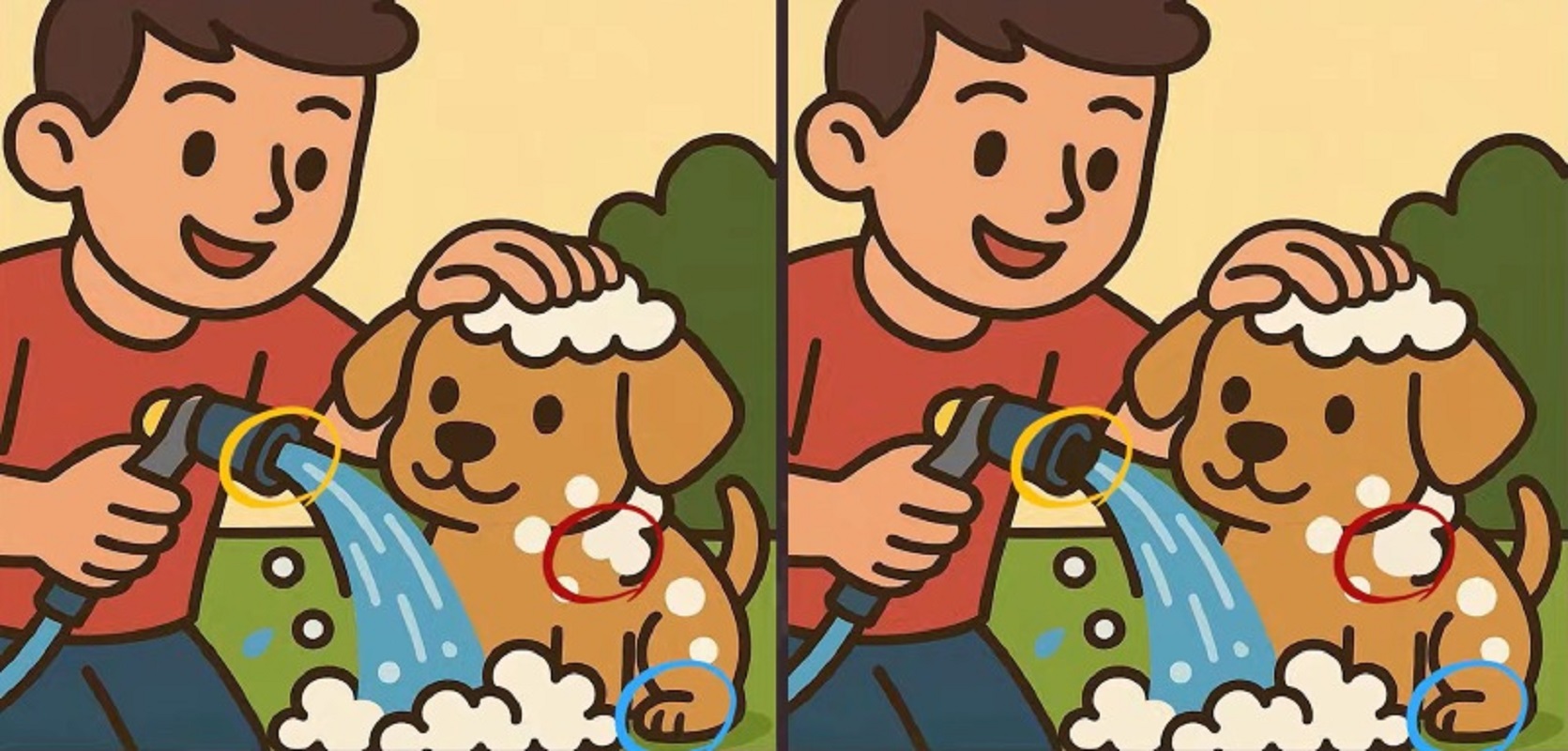 Τεστ παρατηρητικότητας, διαφορές, παιδί, σκύλος