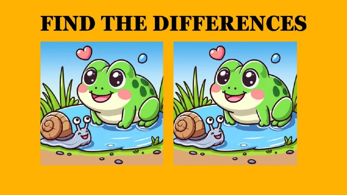 Τεστ παρατηρητικότητας, διαφορές, βάτραχος, σαλιγκάρι