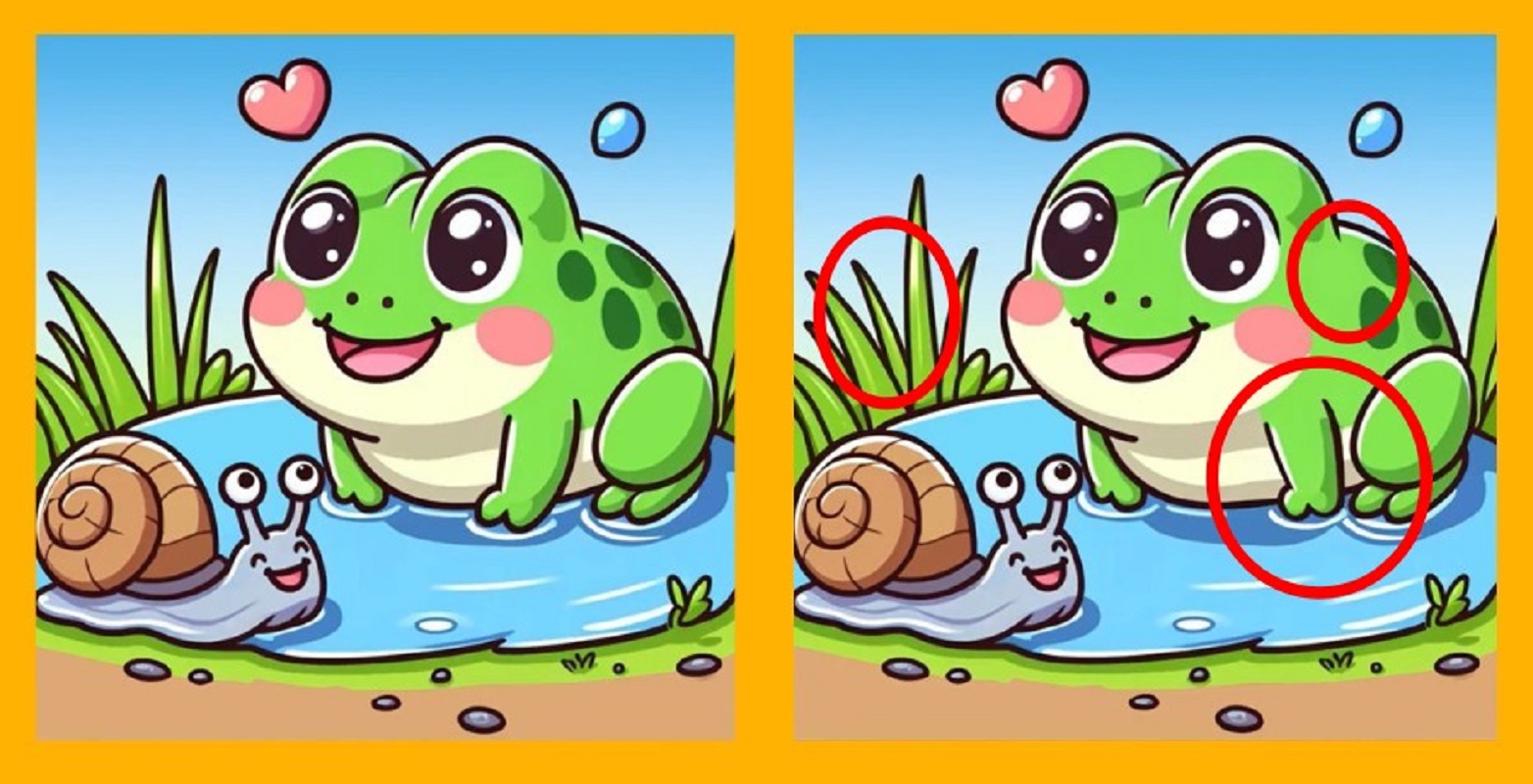 Τεστ παρατηρητικότητας, διαφορές, βάτραχος, σαλιγκάρι