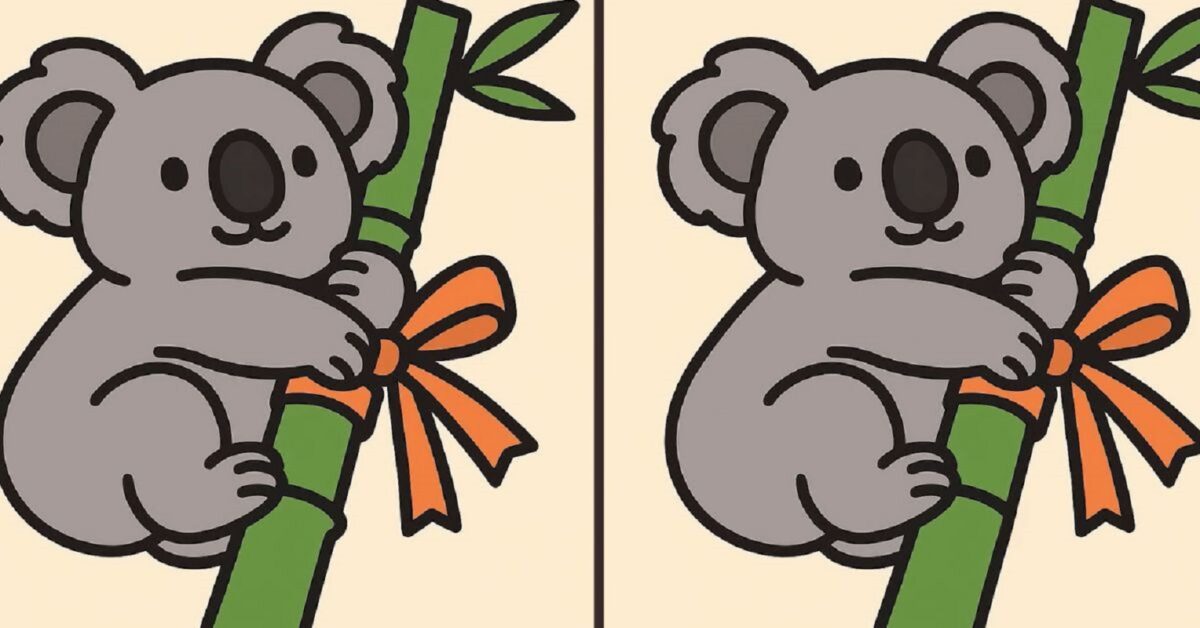 Τεστ παρατηρητικότητας, διαφορές, κοάλα